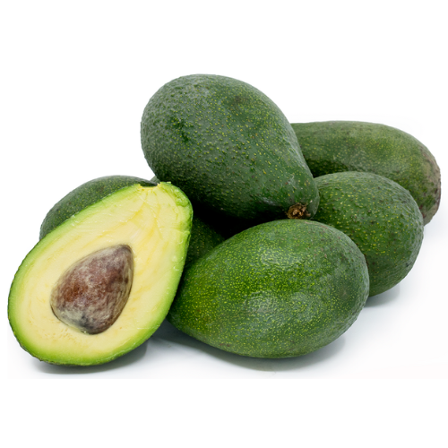 Fuerte Avacado