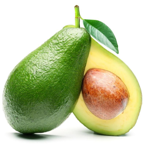 Fuerte Avacado