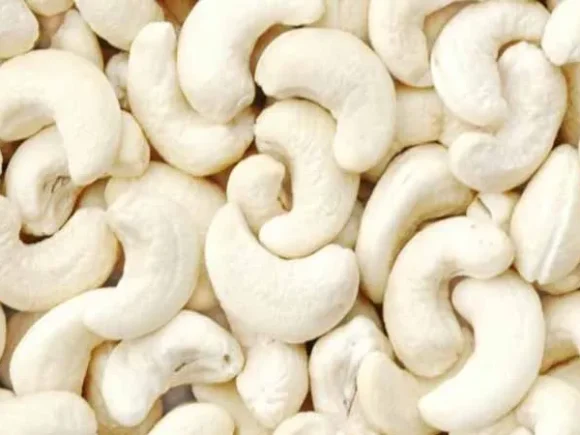 Cashew Season Overview
